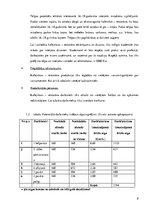 Referāts 'SIA "Fon Rekerekerī" biznesa plāns', 8.