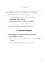 Referāts 'SIA "Fon Rekerekerī" biznesa plāns', 17.