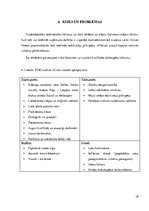 Referāts 'SIA "Fon Rekerekerī" biznesa plāns', 18.