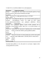 Referāts 'SIA "Fon Rekerekerī" biznesa plāns', 19.