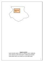 Paraugs 'Zemes nomas līgums', 5.