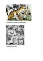 Eseja 'Kaķu attēlojums un nozīme Senajā Ēģiptē', 13.