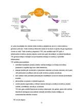 Referāts 'Investīcijas', 21.