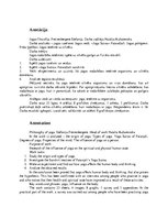 Referāts 'Философия йоги', 3.