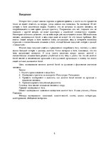 Referāts 'Философия йоги', 5.