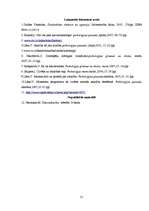 Referāts 'Vecāku ietekme uz bērna datoratkarību', 20.