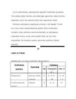 Referāts 'Polimēri', 18.