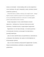 Referāts 'Polimēri', 20.