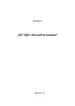 Referāts 'MC Office alternatīvās izmaksas', 1.