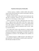 Biznesa plāns 'Sabiedrības ar ierobežotu atbildību "Ziedu Paradīze" finanšu plāns', 2.