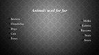 Prezentācija 'Using Animals Fur for Clothes', 4.