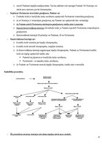 Konspekts 'Eiropas Savienības tiesību sistēmas attīstība un struktūra', 29.