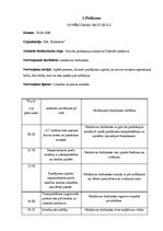 Prakses atskaite 'Prakses atskaite par piegādes ķēdes organizāciju uzņēmumā SIA "Baltrotors"', 26.