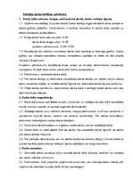 Referāts 'Uzņēmuma struktūra', 4.