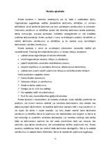 Referāts 'Uzņēmuma struktūra', 15.