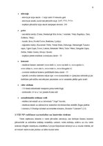 Prakses atskaite 'Kvalifikācijas prakses atskaite', 9.