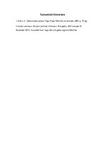 Referāts 'Referāts par ierīcēm maiņstrāvas pārveidošanai līdzstrāvā', 24.