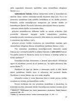 Referāts 'Pirmstiesas izmeklēšanas procesuālie dokumenti', 29.