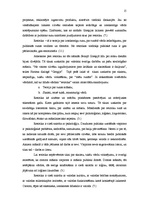 Referāts 'Skolēnu retorikas prasmju pilnveidošana', 15.