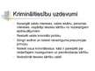 Prezentācija 'Krimināltiesības', 4.