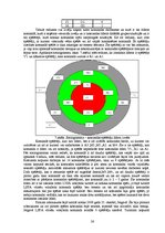 Diplomdarbs 'Līdera izpausmes LSPA vīriešu volejbola komandā', 26.