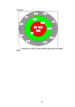 Diplomdarbs 'Līdera izpausmes LSPA vīriešu volejbola komandā', 46.