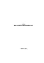 Referāts 'ASV speciālo uzdevumu vienības', 1.