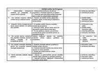 Paraugs 'Iekšējā audita darba programma', 3.
