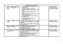 Paraugs 'Iekšējā audita darba programma', 4.