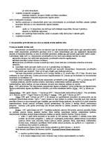 Konspekts 'Valsts eksāmena atbildes Starptautiskajās publiskajās un privātajās tiesībās', 7.