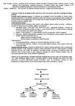 Konspekts 'Valsts eksāmena atbildes Starptautiskajās publiskajās un privātajās tiesībās', 19.