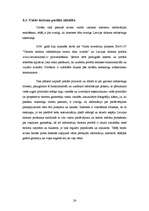 Referāts 'Tūrisma organizāciju mārketinga stratēģijas raksturojums', 24.