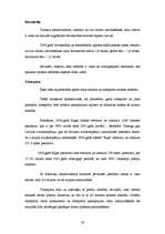 Referāts 'Tūrisma organizāciju mārketinga stratēģijas raksturojums', 28.