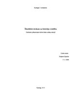 Referāts 'Šokolādes ietekme uz lietotāju veselību', 1.