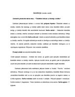 Referāts 'Šokolādes ietekme uz lietotāju veselību', 2.