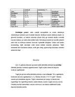 Referāts 'Nafta', 7.