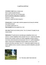 Biznesa plāns 'Viesu māja "Upītes"', 11.