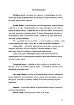 Biznesa plāns 'Viesu māja "Upītes"', 13.