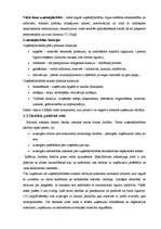 Referāts 'Uzņēmējdarbības iespējas Bauskas rajonā', 7.