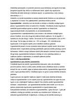 Referāts 'Uzņēmējdarbības iespējas Bauskas rajonā', 13.