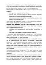 Referāts 'Uzņēmējdarbības iespējas Bauskas rajonā', 20.