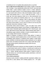 Referāts 'Uzņēmējdarbības iespējas Bauskas rajonā', 23.