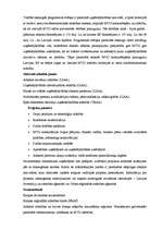 Referāts 'Uzņēmējdarbības iespējas Bauskas rajonā', 24.