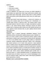 Referāts 'Uzņēmējdarbības iespējas Bauskas rajonā', 27.