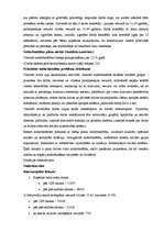 Referāts 'Uzņēmējdarbības iespējas Bauskas rajonā', 33.