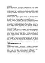 Konspekts 'Mazbērna attīstības bioloģiskais apraksts', 2.