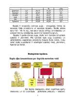 Referāts 'Biodegviela', 3.