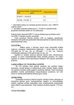 Referāts 'Valsts investīcijas', 11.