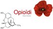 Prezentācija 'Opioīdi', 1.