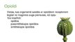 Prezentācija 'Opioīdi', 2.